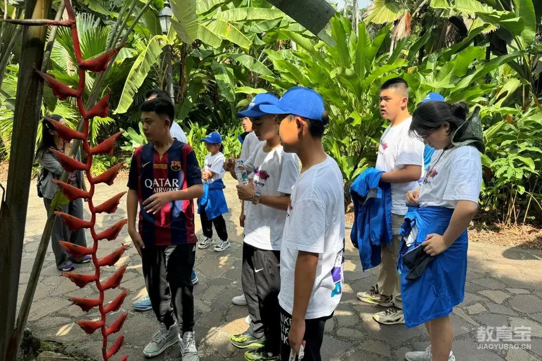 老年人如何安全地进行篮球接球训练?_2
